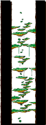 Minimap of Tree Dungeon, Forest Up North III