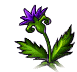 witch's herb, animation 6