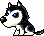 Husky, animation 16