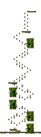 Minimap of The Forest of Patience <Step 5>