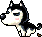 Husky, animation 15