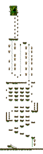 Minimap of The Forest of Patience <Step 2>