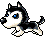 Husky, animation 3