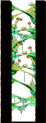 Minimap of Tree Dungeon, Forest Up North VII