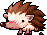 Porcupine, animation 17