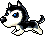 Husky, animation 4