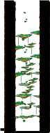 Minimap of Tree Dungeon, Monkey Forest I