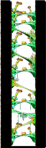 Minimap of Magician's Tree Dungeon