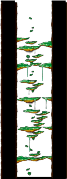Minimap of Dungeon, Southern Forest II