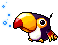 Toucan, animation 3