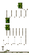 Minimap of The Forest of Patience <Step 3>