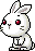 White Bunny, animation 12