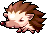 Porcupine, animation 4