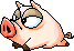 Pig, animation 3