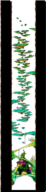Minimap of The Tree Tunnel At the Forest Up North